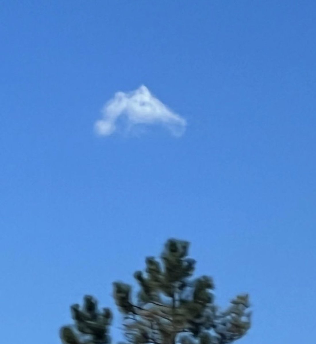 TroyRenck's tweet photo. Cool photo from #Denver7 viewer Kathy Neighbors. Is this a sign that #Broncos will turn things around this season? https://t.co/cDgEoMoN7w