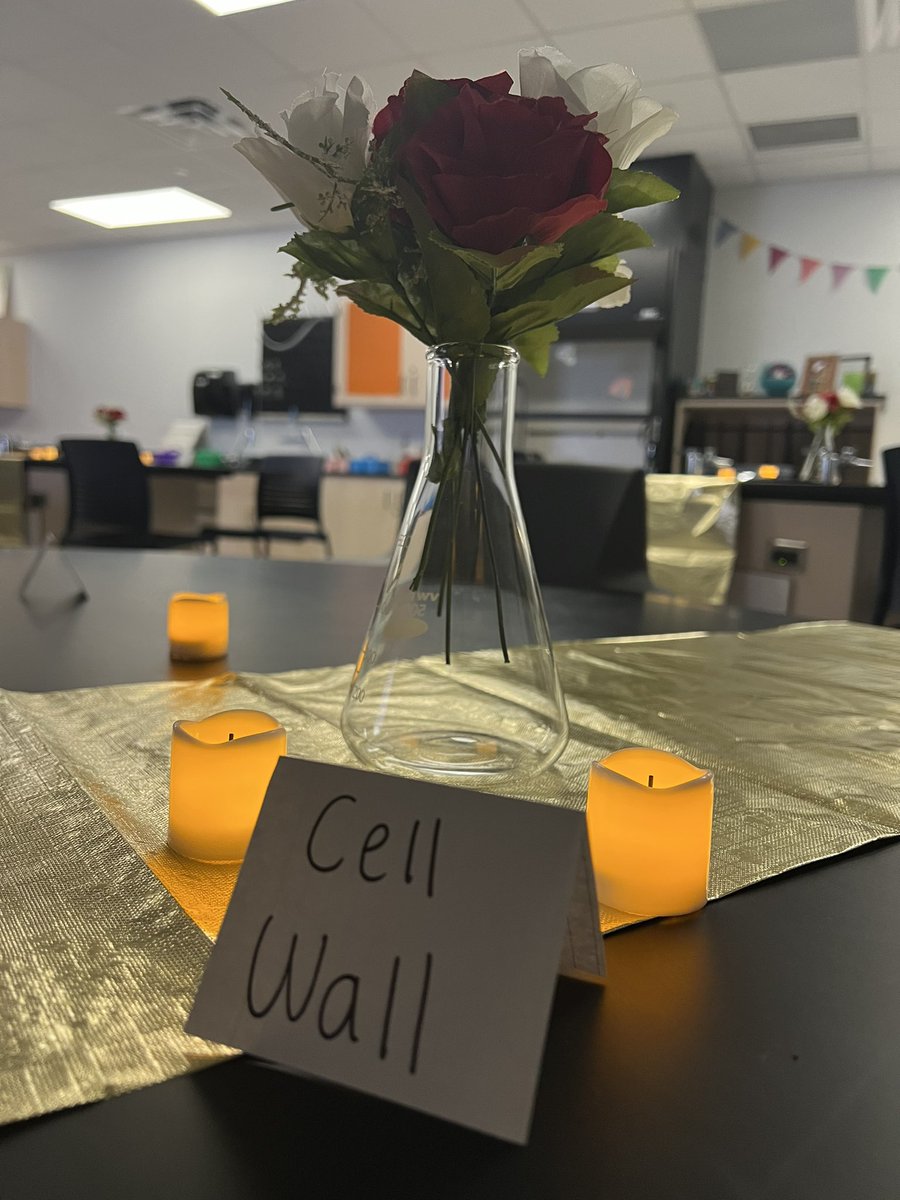 scienceballa's tweet photo. Cellular speed dating in AP Bio with Careless Whisper on repeat?! How could you deny that kind of chemistry?! 😉🩷 @WalnutGroveHS #prosperscience #GeorgeMichael https://t.co/reJAvy0kkH