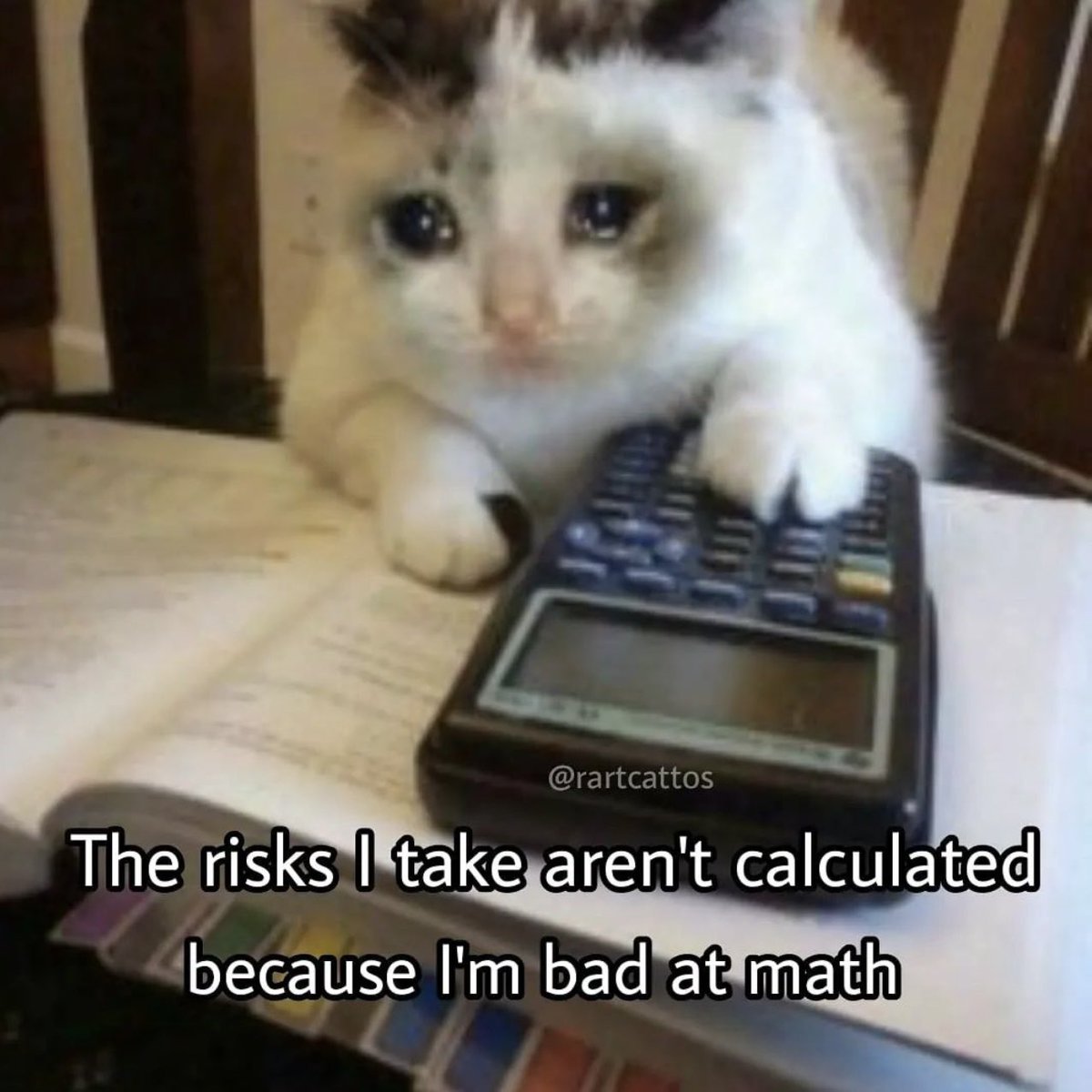 PostsOfCats's tweet photo. https://t.co/ynjG2n40qp