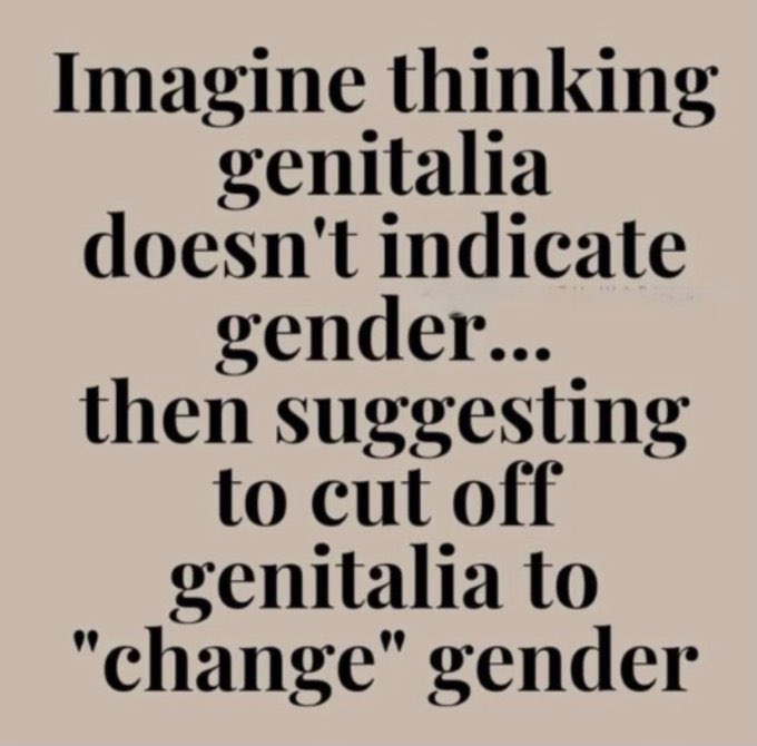 <a href="/libsoftiktok/">Libs of TikTok</a> SMH