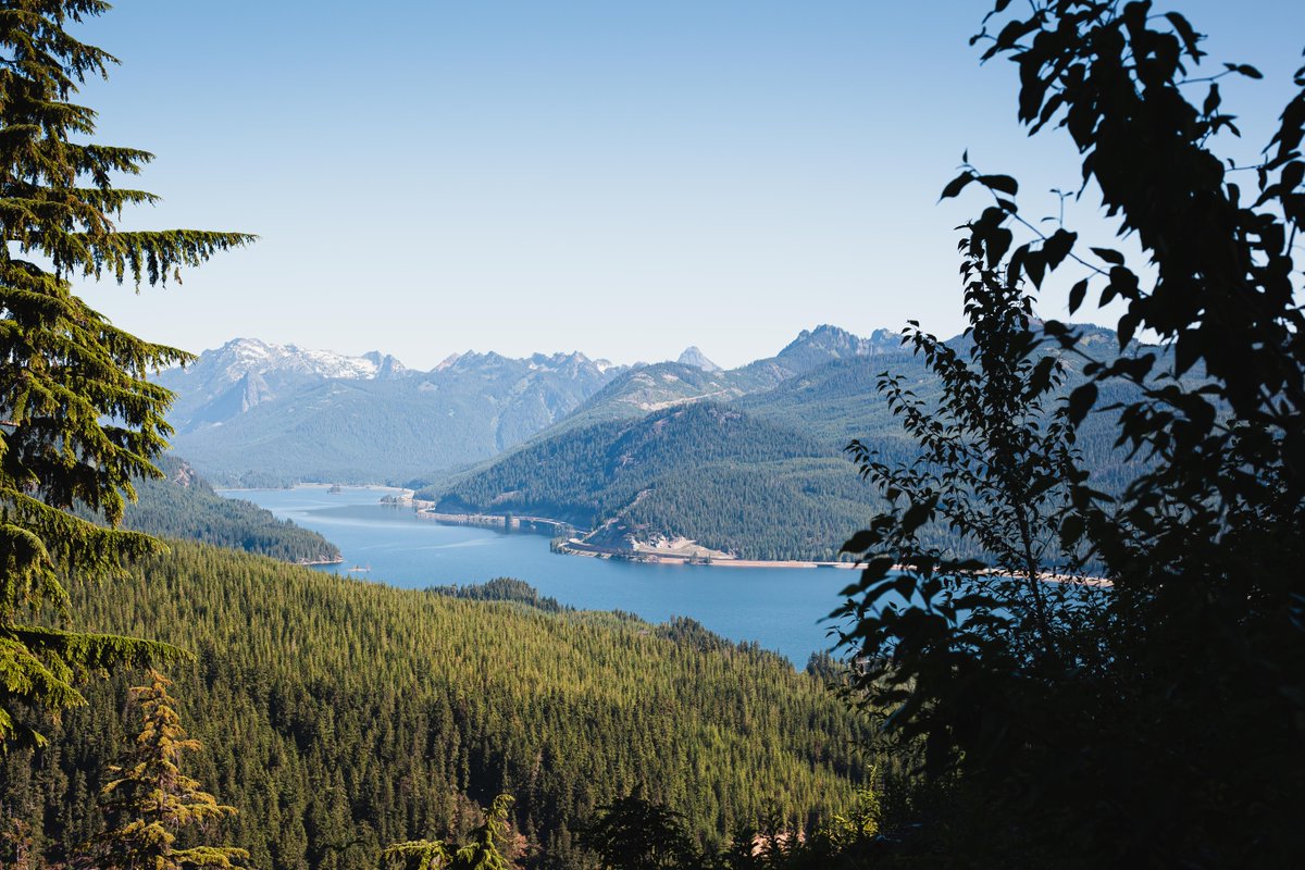 aclim8gear's tweet photo. The summer is winding down and we are feeling nostalgic. Join us on a journey back in time to relive a remarkable trip from last year, led by the intrepid @adv_aaron, as we explored the Washington Forests. 
— 
#ACLIM8 #ExploreAdaptThrive https://t.co/3RSm9TCCMG