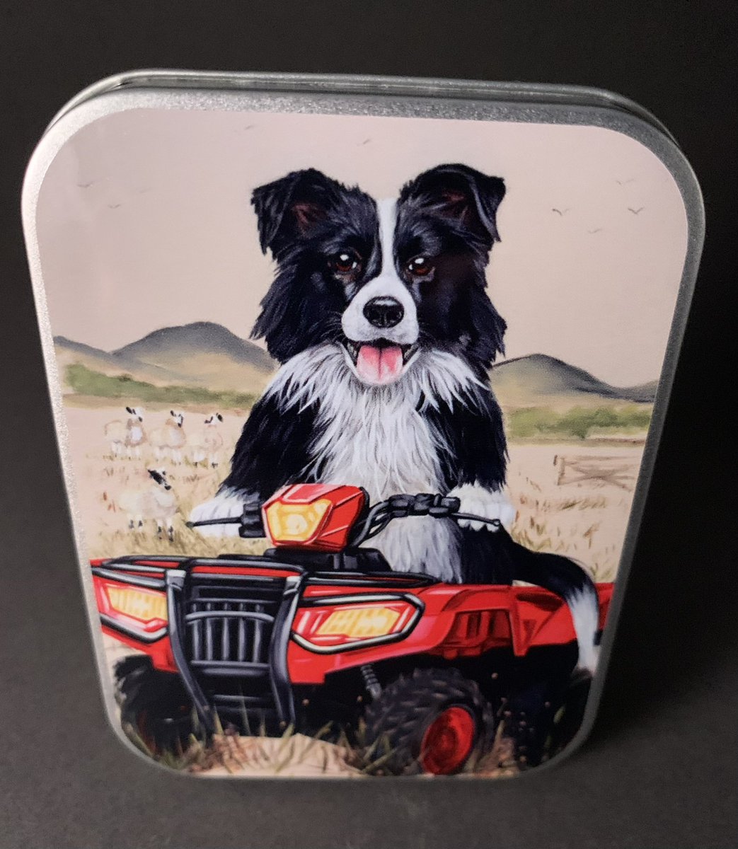 artonatin's tweet photo. #BelfastHour #IWSBrandedWear @peterlennon1 @bann_mobility @almacmac9 working with the amazing Craig Kenny on new tins for the World Sheepdog Trials https://t.co/gYtBAiI6po