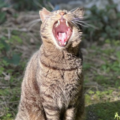 #新しいプロフィール画像