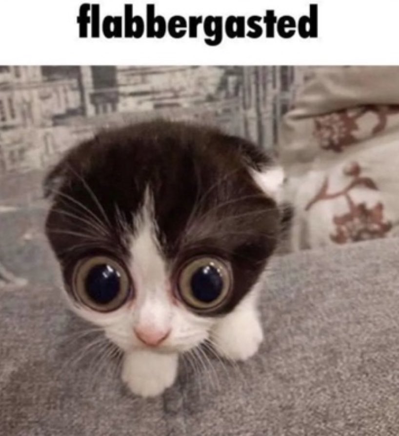 brEAdaDuLt's tweet photo. @insidetheslime https://t.co/hNJDRu91P6