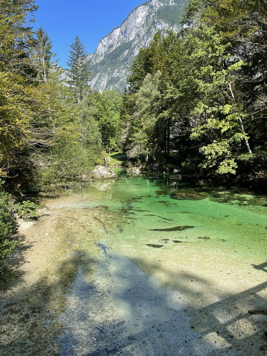 Chris Ross tweet media