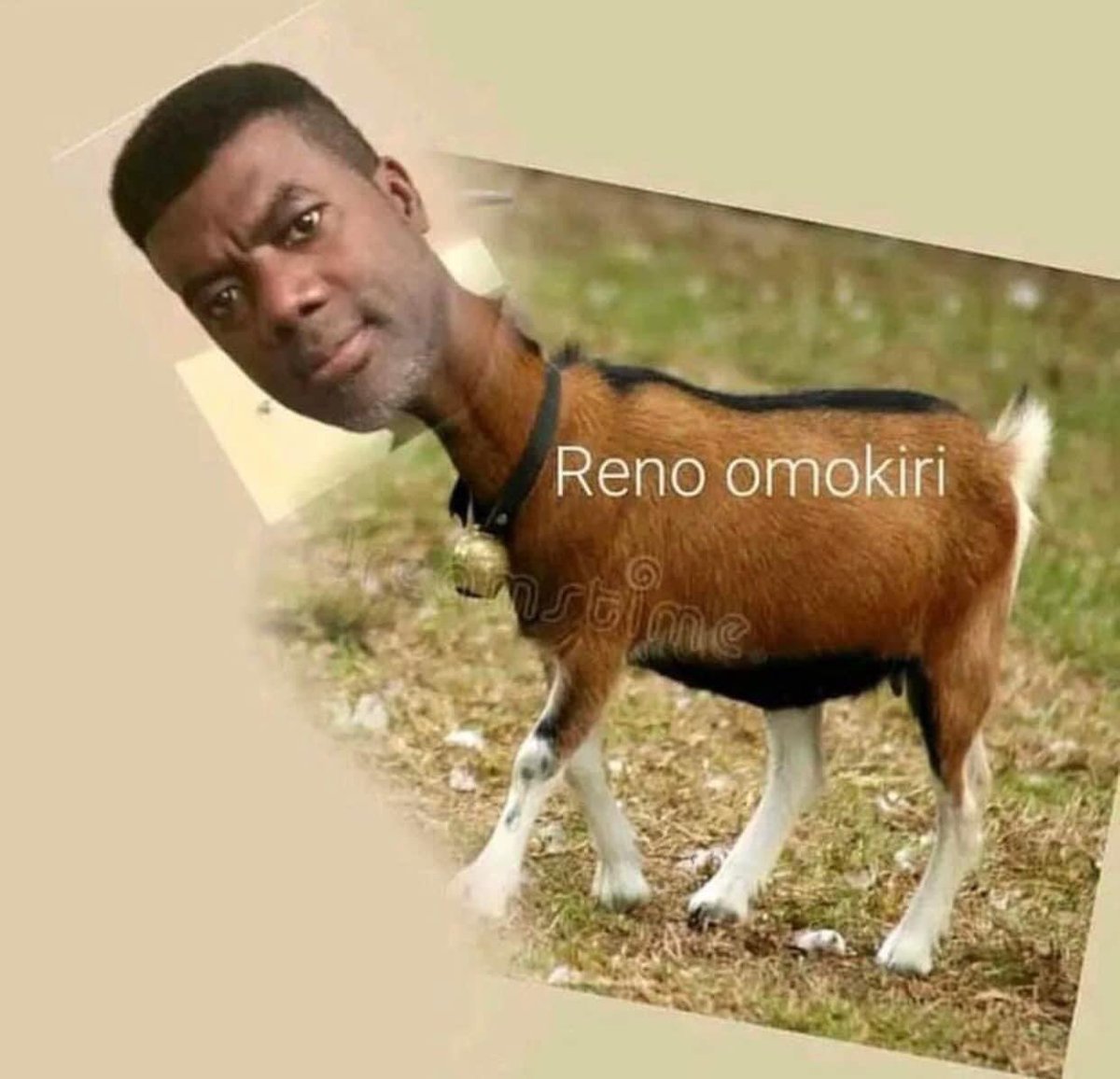 g4courage's tweet photo. If confusion is human,search no more…..see am here @renoomokri https://t.co/Cvgs13bnsR