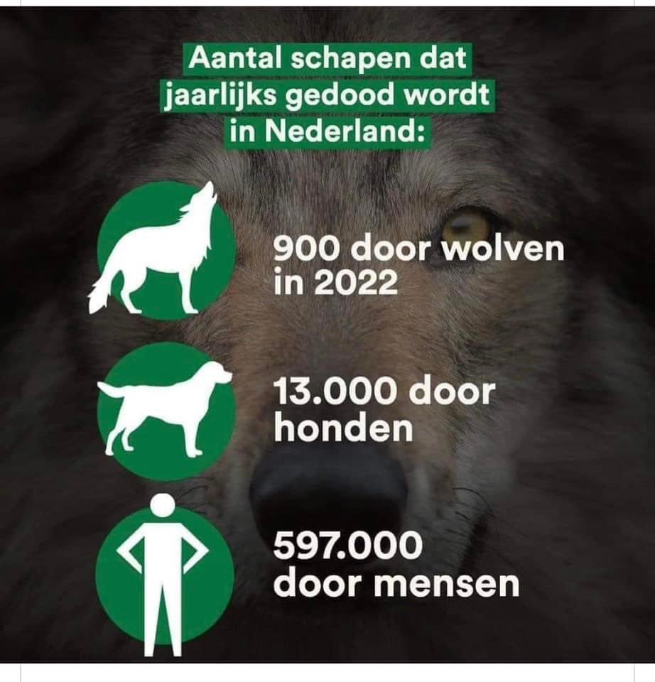 Dit mooie plaatje wordt weer veelvuldig gedeeld op Twitter. Maar wat zegt dit nu eigenlijk? 

Dat zijn dus

45 schapen per wolf (N 20 wolven)

0,007 schaap per hond (N 1.800.000 honden)

0,034 schaap per mens (N 17.590.672 mensen)

#goochelenmetcijfersisgoochelenmetsentiment.