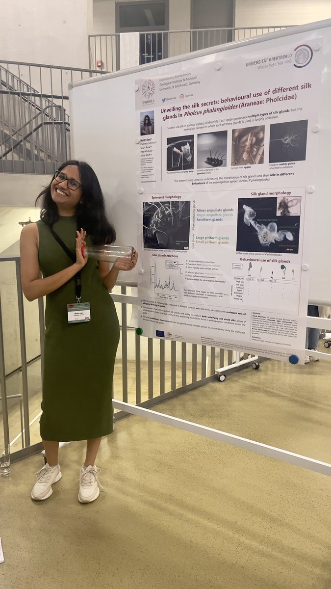 <a href="/Maitry_jani/">Maitry Jani</a> captured our attention (like a fly in a web 🪰🕸️🕷️) with her poster on daddy long legs’ silk glands #dzg23 <a href="/evoimec/">EVO|MEC</a>