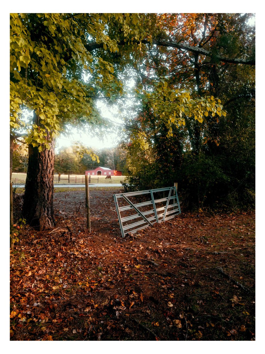 EvanRanft's tweet photo. iPhone + promist filter = perfection https://t.co/EeRZ56wWGC