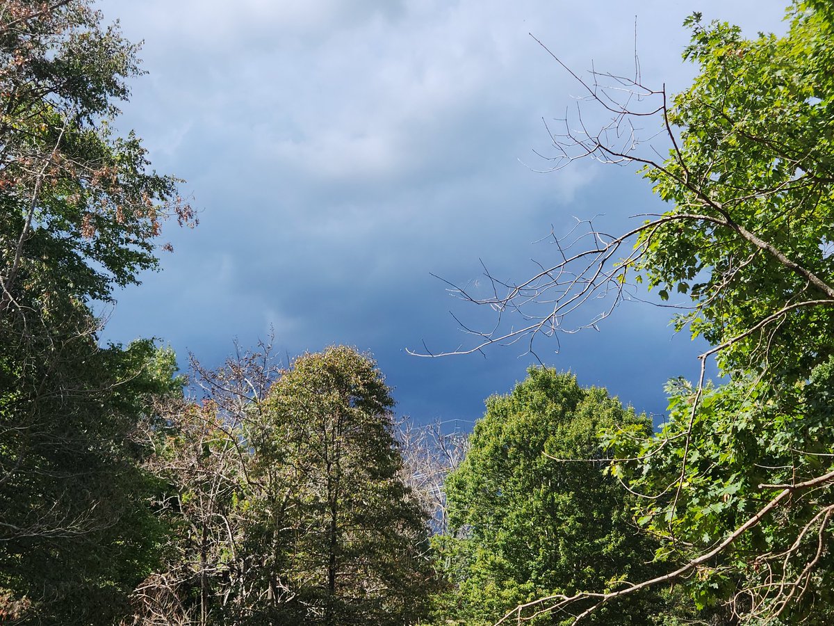 Countrygoats's tweet image. September is the new August!!! Thunderstorms and 90 degrees with high humidity.

#countryheartfarm
#floydva
#summerdays