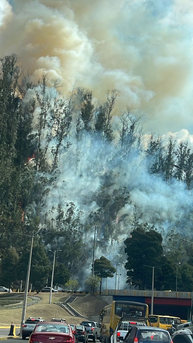 INCENDIO | A esta hora se reporta un flagelo en el sector de El Trébol, centro oriente de la capital.