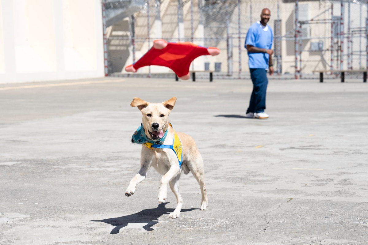 San Jose Sharks tweet media