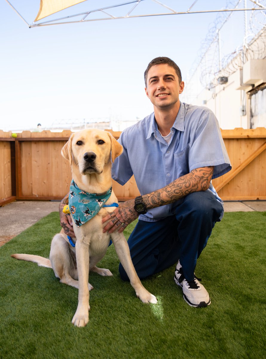 San Jose Sharks tweet media