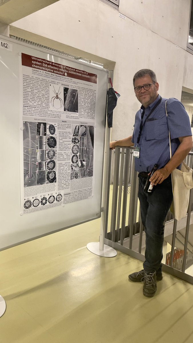 Our very own Dr. Carsten Müller sniffing out evolutionary connections between wall-pore and tip-pore sensilla 👃🏼🕷️👅