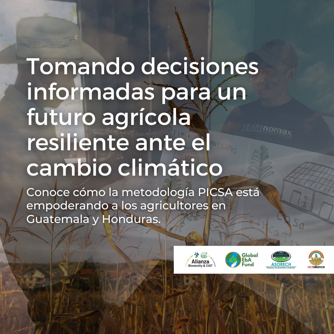 Alianza de Bioversity International y el CIAT tweet media