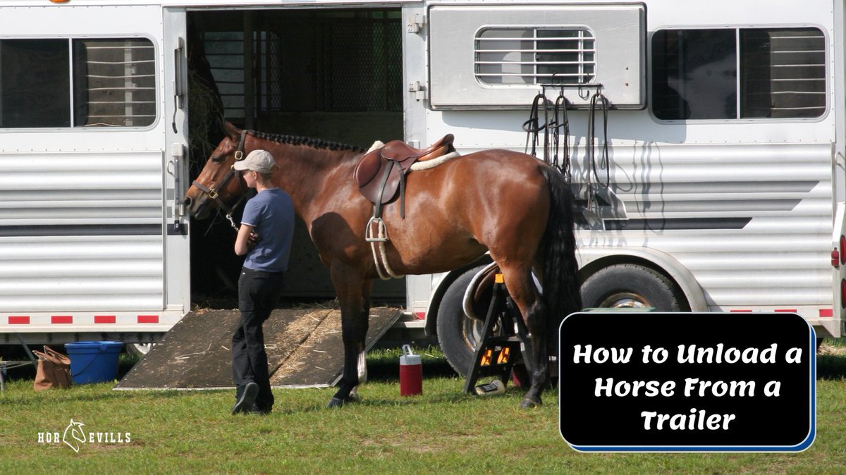 Master the art of unloading your horse safely and smoothly with our expert guide. Perfect for every horse lover! 🐴🚚 Check it out: horsevills.com/how-to-unload-… #HorseCare #EquestrianLife
