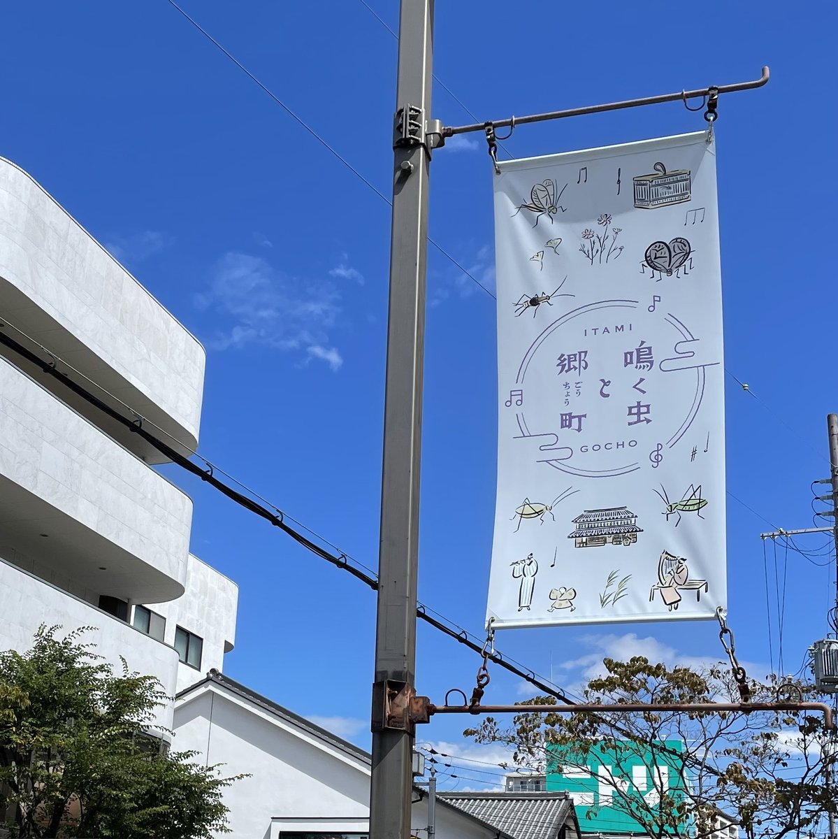 nakumushi_itami's tweet photo. 伊丹の秋は #鳴く虫と郷町 から！

本日9/8（金）より、
2023年の #鳴く虫 と郷町 がスタート！

https://t.co/BA9u71ZakS
17（日）まで
18（月祝）は #スズムシ里親プロジェクト

是非秋の訪れを感じにお越しください♪

チラシ訂正
9/9（土）#鳴く虫と菊の節供
誤：14:00〜19:00
正：19:00〜

#伊丹 https://t.co/fQSdhwR3Yu