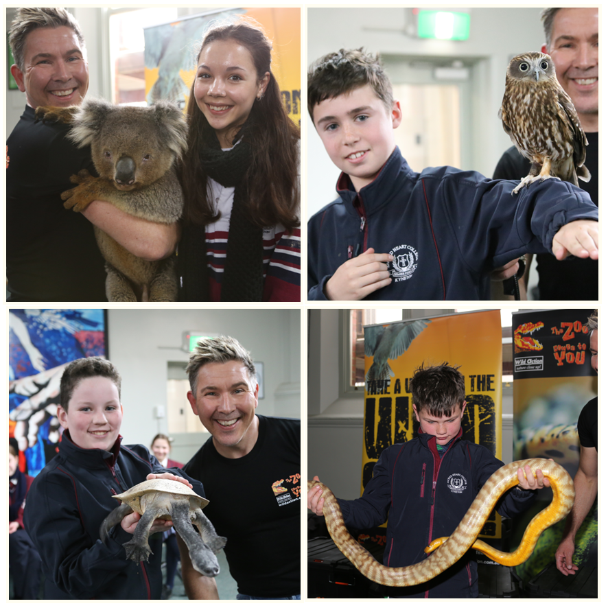 shckyneton's tweet photo. Commemorating National #ThreatenedSpeciesDay 
 yesterday, we celebrated our iconic wildlife with the help of Chris &amp; Taasha and the animals from #ZooComesToYou.  We are reminded that our actions can help conserve these species for future generations. #SHCK
@WWF_Australia https://t.co/otuhHqC7oC