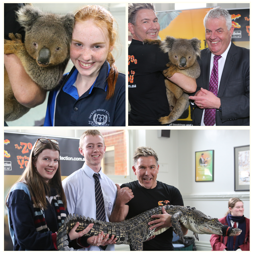 shckyneton's tweet photo. Commemorating National #ThreatenedSpeciesDay 
 yesterday, we celebrated our iconic wildlife with the help of Chris &amp; Taasha and the animals from #ZooComesToYou.  We are reminded that our actions can help conserve these species for future generations. #SHCK
@WWF_Australia https://t.co/otuhHqC7oC