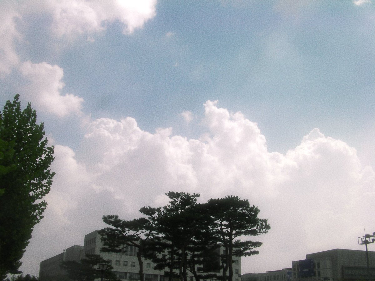 지수 tweet media