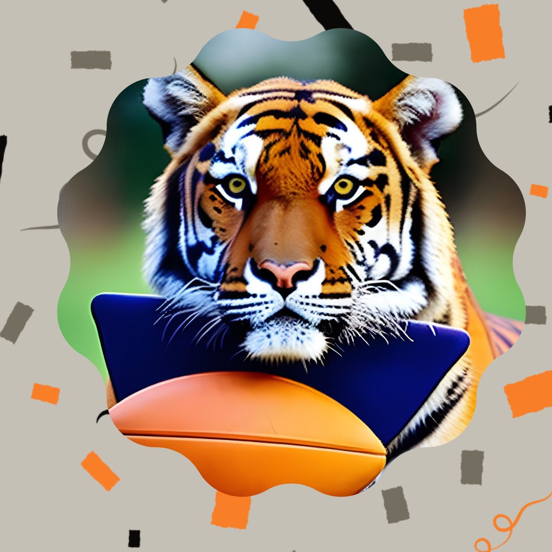 Tara Bova tweet media