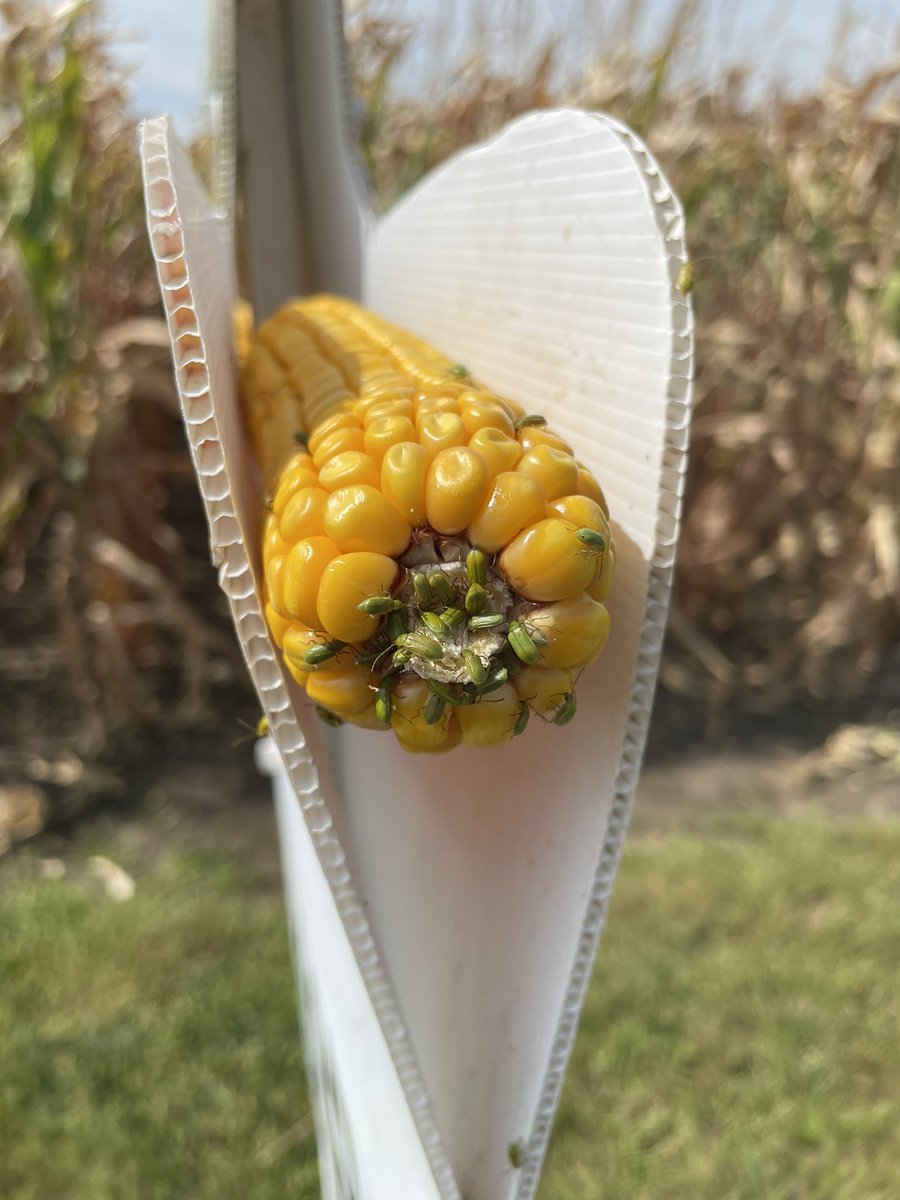 Jim McDermott tweet media