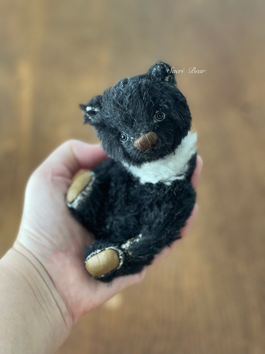 Saeri Bear (@sae_oma) / Posts / X