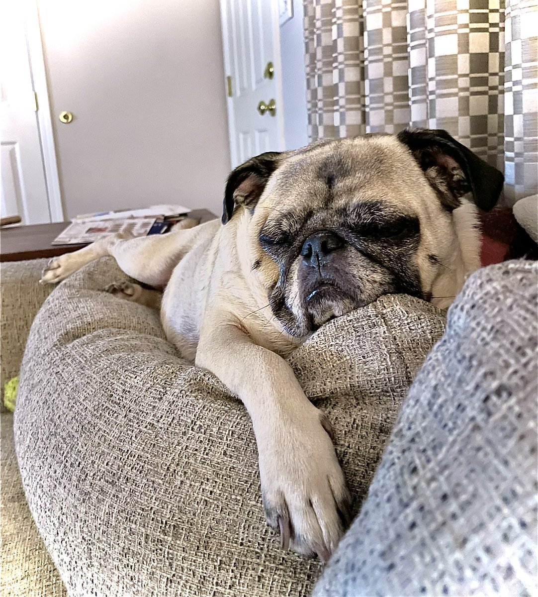 Frankie Colamarino tweet media