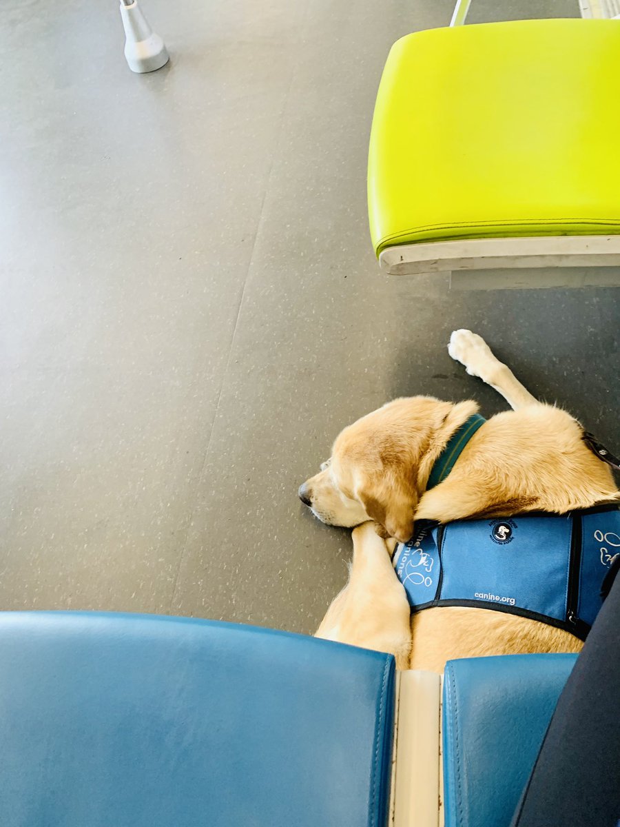 Got our favorite <a href="/SFBART/">BART</a> layout. The random one with a single accessible seat and more legroom (dog room?) #TransitMonth is also #ServiceDogMonth.