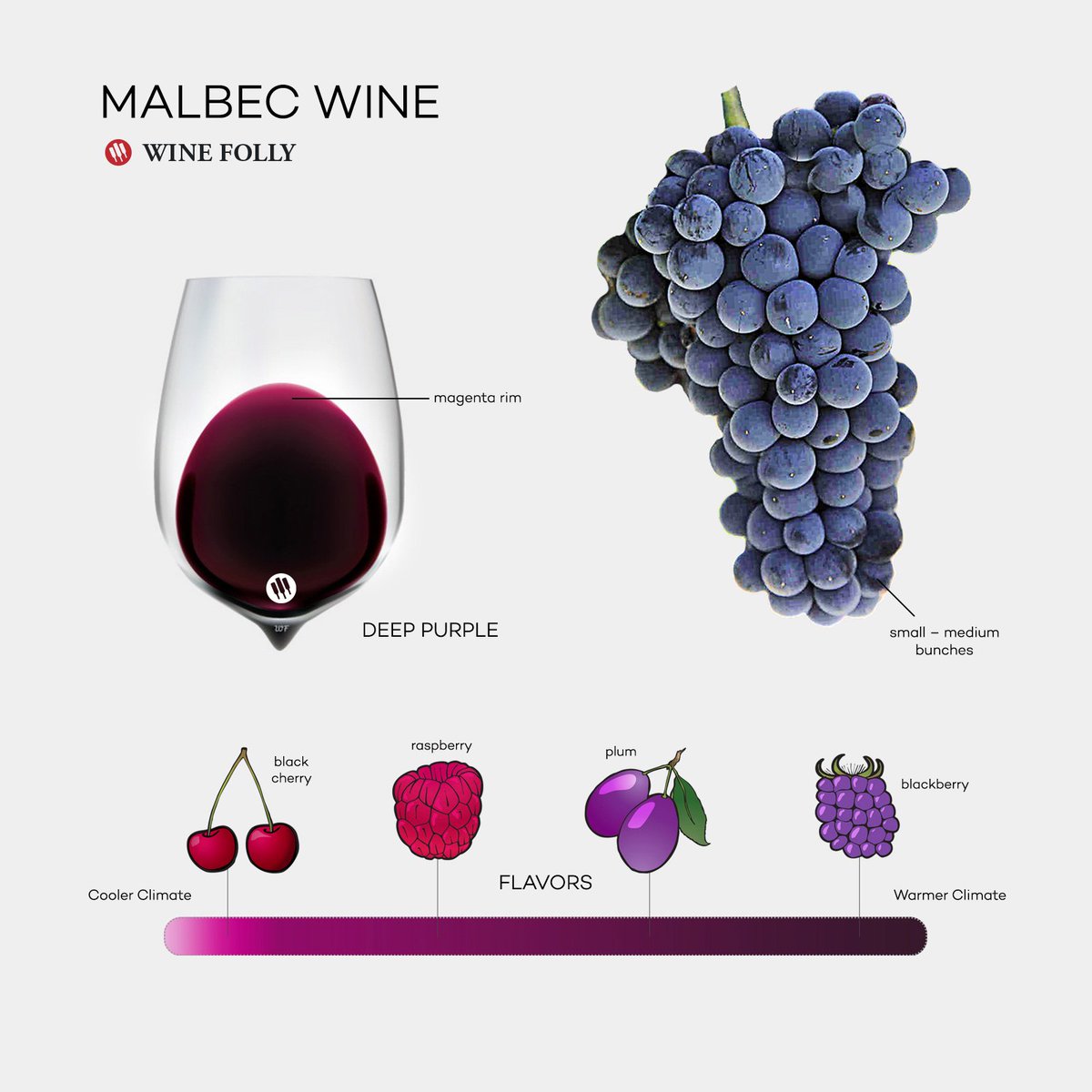 Fun fact about Malbec: It’s a team player. Single-varietal Malbec wines are tasty, but be sure to try a Malbec blend with Cabernet Sauvignon. 

Malbec is a blending grape in Red Bordeaux Blends. How do you link your Malbec?