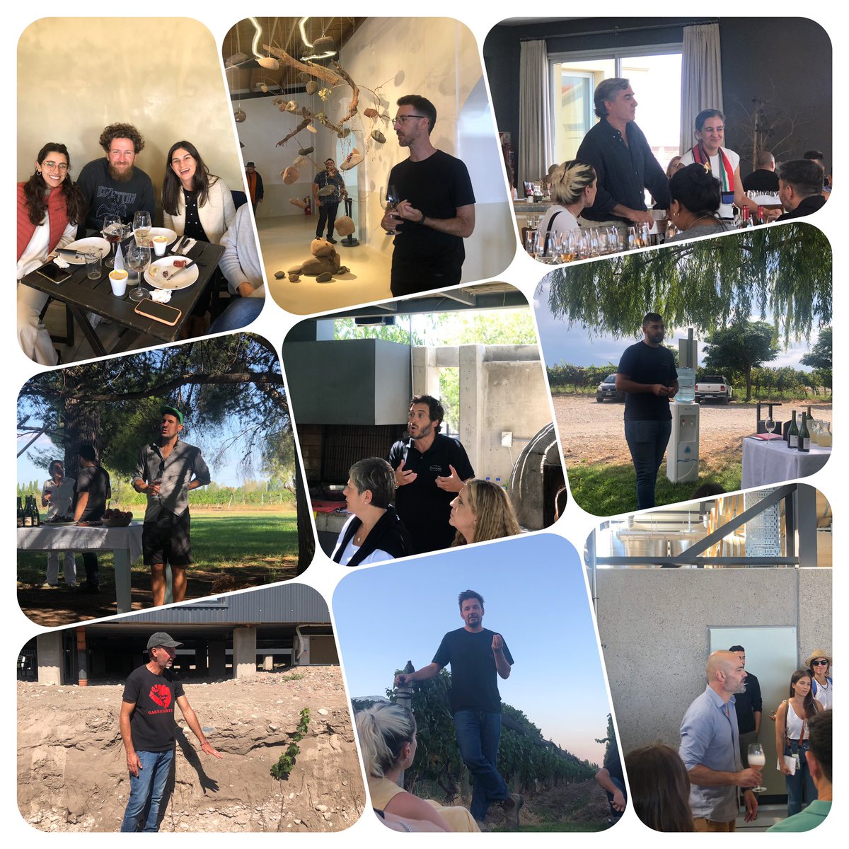 Feliz día del enólogo 🍇🍷