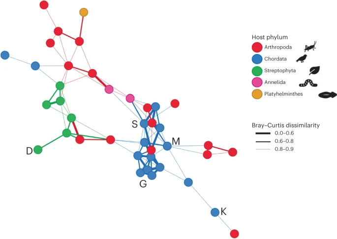 Host phylogeny plays a key role in determining infectivity, virus loads, transmission. New study shows that host phylogeny also plays a role in virome scale transmission networks.
Great paper by Rebecca French @edwardcholmes and collaborators in NZ. 
👉nature.com/articles/s4155…