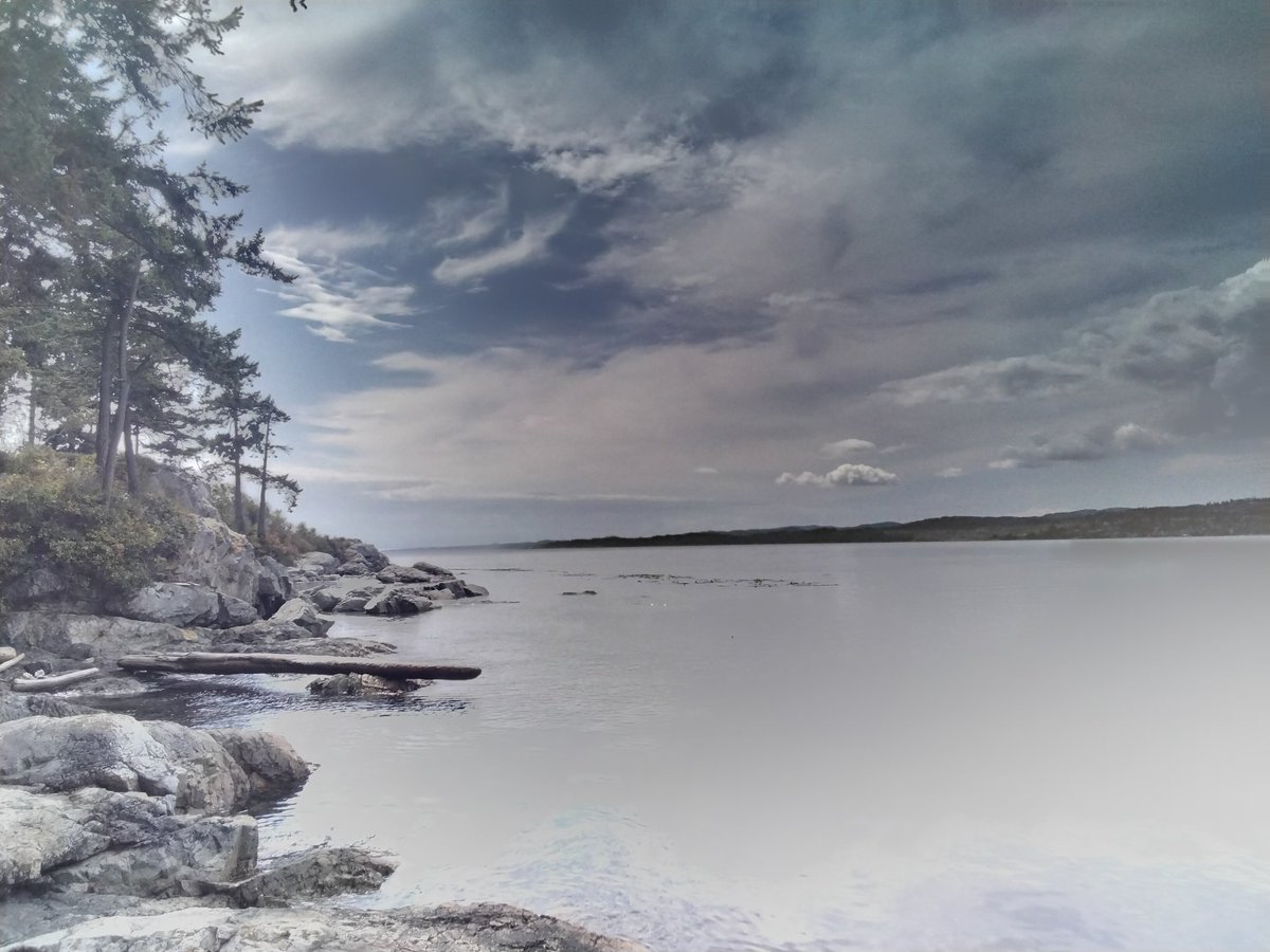 AilsaForshaw's tweet photo. Oh My Goodness, what a beautiful picture 🖼 from our fave walk, today! #saxepoint #Esquimalt #VictoriaBC #canada🇨🇦 #photography #photooftheday So gorgeous! https://t.co/GNpW6LIwR3