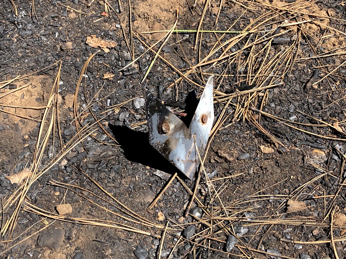PrestonMcMurry's tweet image. #KingsnakeHikes the General Crook Trail near Twentynine Mile Butte in @CoconinoNF : 1) Damage from July's #WilburFire. 2) Chevron burnt off a tree. I nailed it back on with a rock. 3) The trail, such as it is. 4) Pineywoods spiderwort.