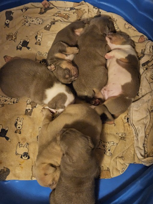 They're all so cute I'm so proud😍😭 https://t.co/luBYN7A4sS<a href="/tag/kevinhart"class="tags"><span>#kevinhart</span></a><a href="/tag/realitycheck"class="tags"><span>#realitycheck</span></a>