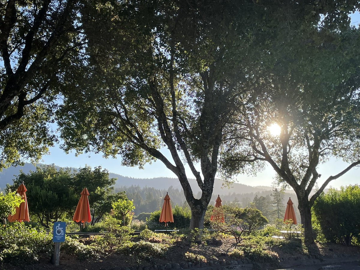 ArnaudWeyrich's tweet photo. Magical hour ! Your senses are magnified and the view is just fantastic when the sun starts to lower on the horizon
#andersonvalley 
#roedererestate https://t.co/Bux8Oby8Sr