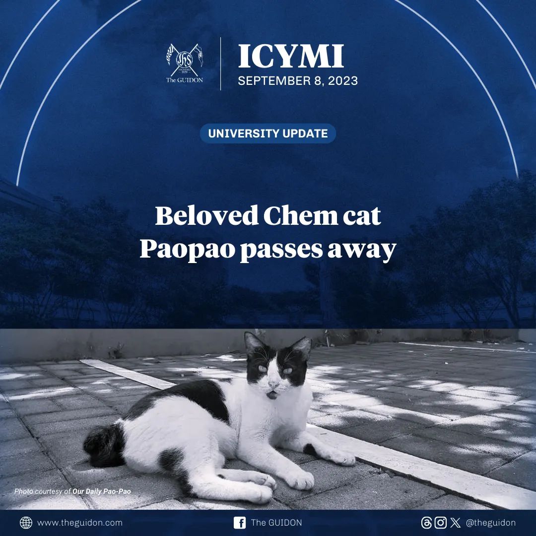 TheGUIDON's tweet photo. Paopao, the cherished feline resident near Schmitt Hall, passed away yesterday, September 7. The tragic incident occurred when an unidentified vehicle struck Paopao in front of Schmitt Hall. 

Students, faculty, and staff of the campus are mourning the loss of their friend, who had become a beloved figure on campus, bringing comfort and companionship to all who encountered him. 

Paopao’s endearing presence will be deeply missed.

Photo courtesy of Our Daily Pao-Pao
