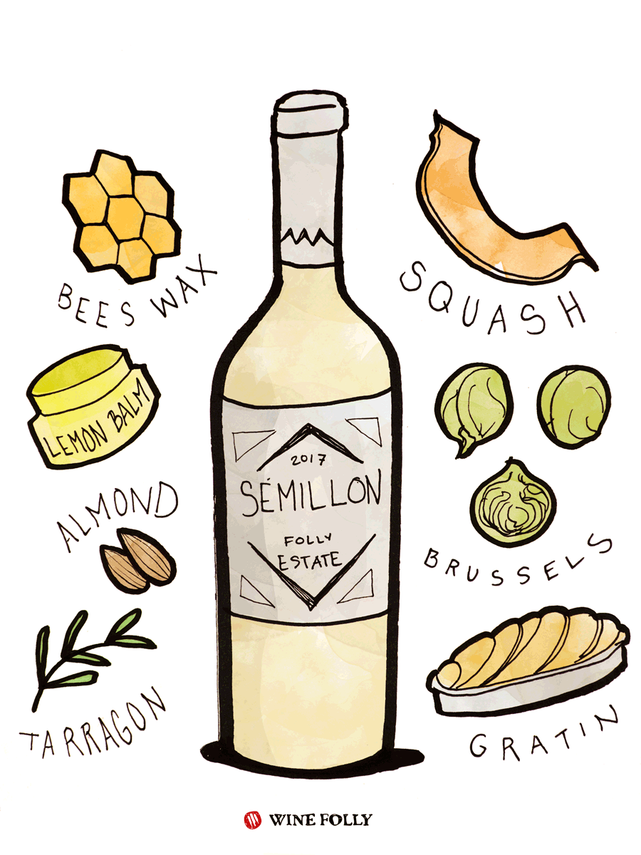 WineFolly's tweet image. A personal favorite Fall wine: Sémillon. Fall isn’t just red wine season. It’s full-bodied white wine season too!

What full bodied white are your go-to pours?