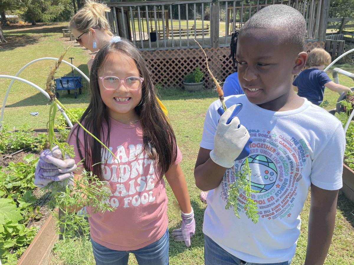 tupeloschools's tweet photo. It was Carrot Pulling Day and planting sunflowers and cucumbers at @Lawndale_TPSD today with Ms. West’s third grade gifted class. #TPSD https://t.co/48VVjww1rJ