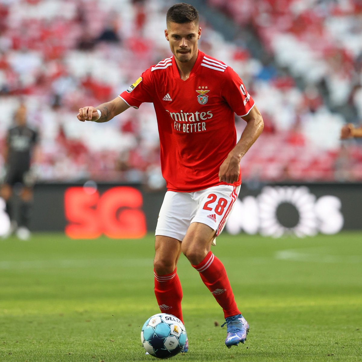 SL Benfica tweet media