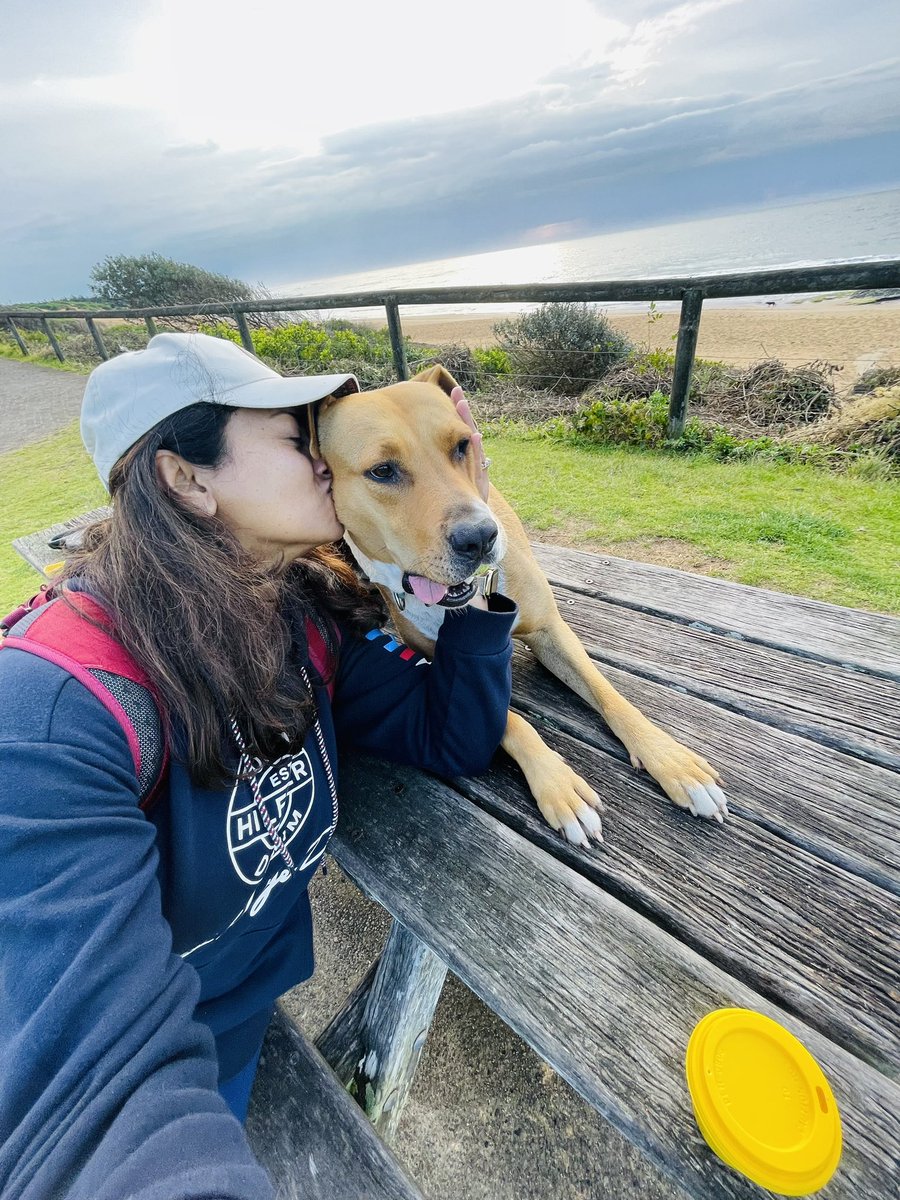 Best #FriYaYFeeling when it starts with Scooby walk and sunrise surprise on a cloudy day. Scooby even got a compliment today from a stranger (turned out to be a vet nurse) “its so good to see such a happy doggo like him” 🐶😍🥰 #BeachVibes #fridaymorning #grateful