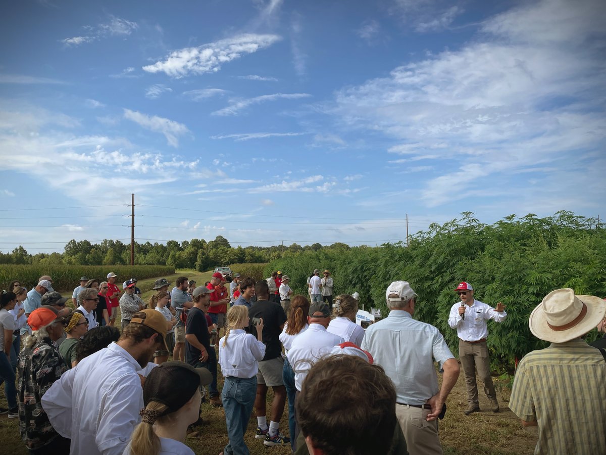 BastFibreTech's tweet photo. Summer’s winding down, but hemp harvest season is ramping up! 🌱 Our SERO™ hemp fibre journey starts in the field before it can be used in natural #positiveimpact products. Thanks to @DavidSuchoff and @ncstate for hosting a great Fiber Field Day &amp; presenting the latest research! https://t.co/LYp3YSu5m5