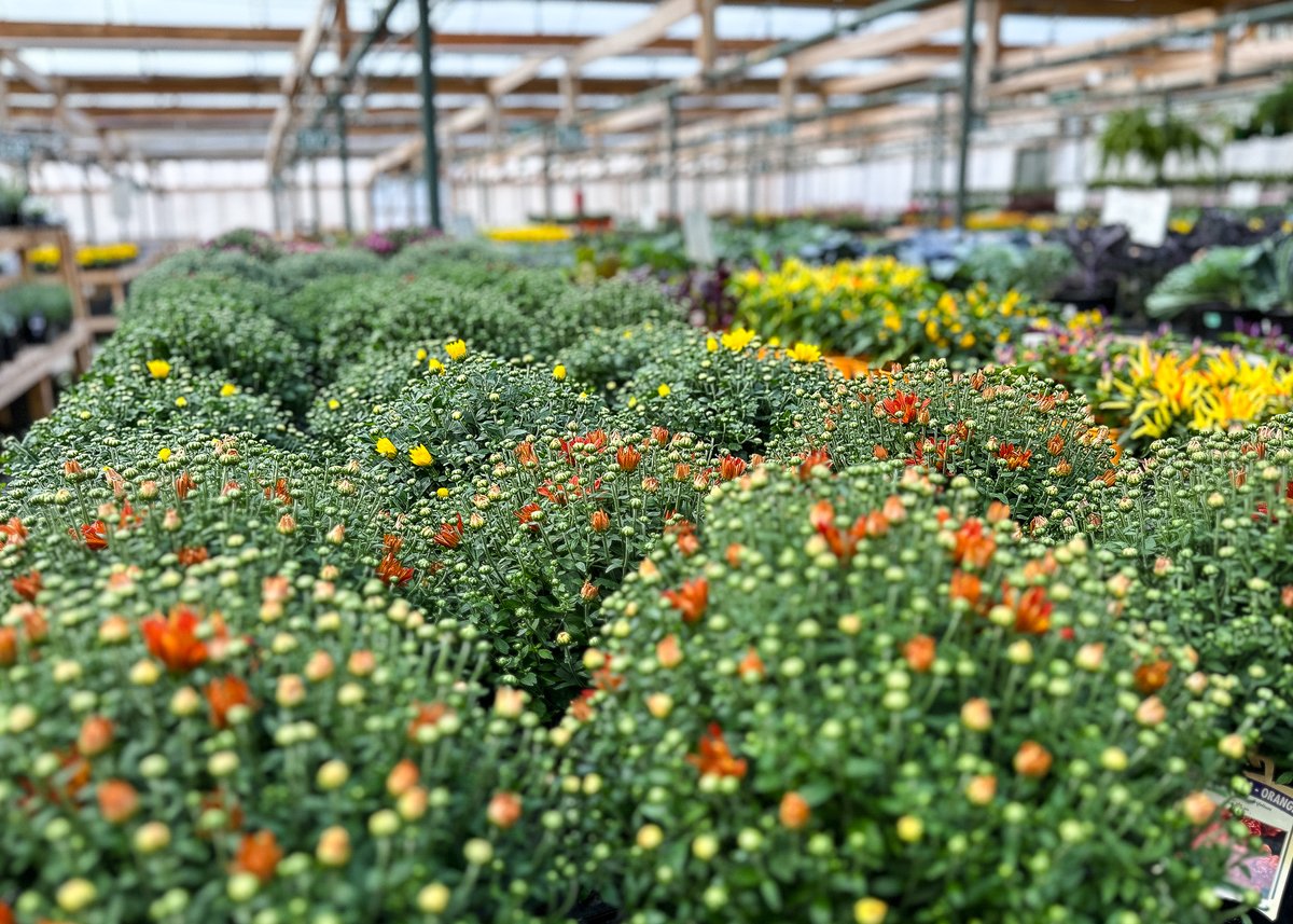 Bates Nursery tweet media