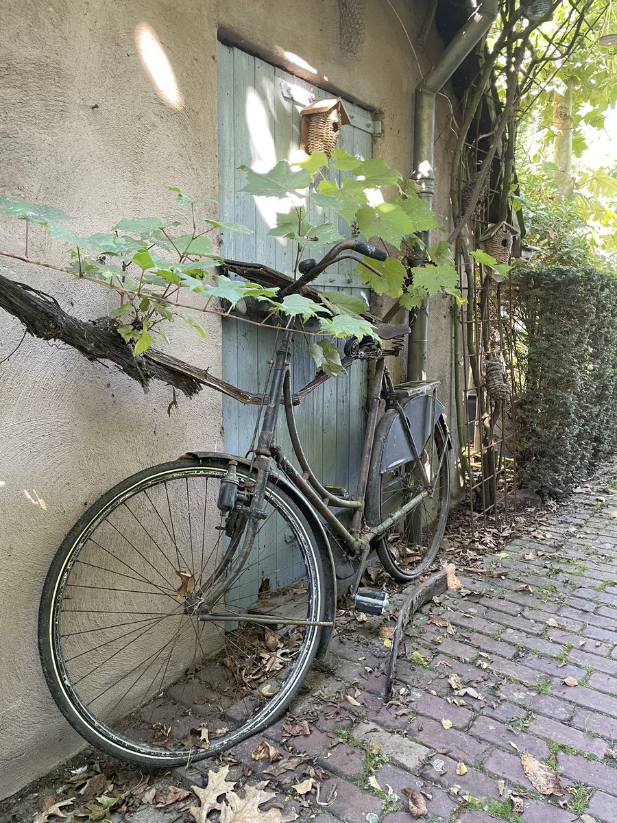 TastyTalesTV's tweet photo. We did some road-trips this week, visiting a.o. Dutch vineyard Domaine d’Heerstaayen. #winelover #dutchwine https://t.co/qNNYbdTB5L