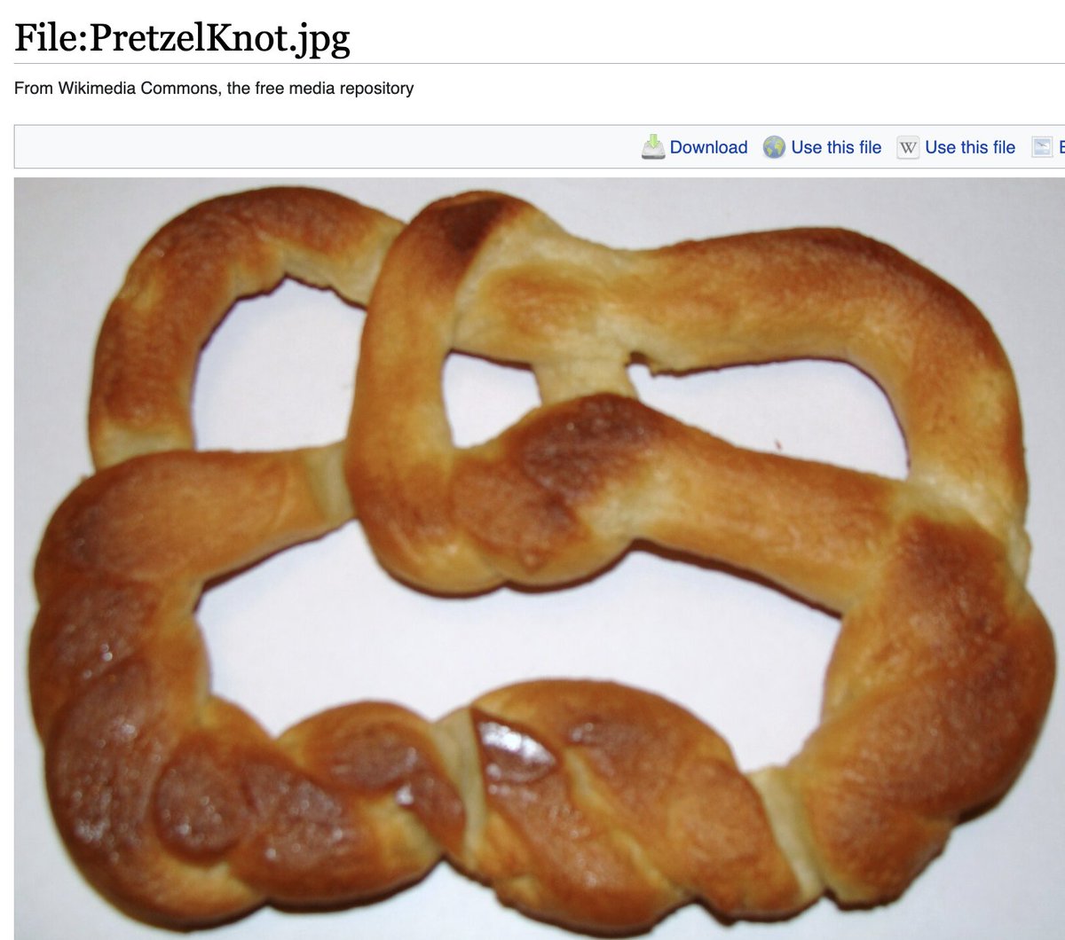 OBSESSED with the person who makes pretzels of mathematically significant knots and then uploads blurry photos of them to Wikipedia