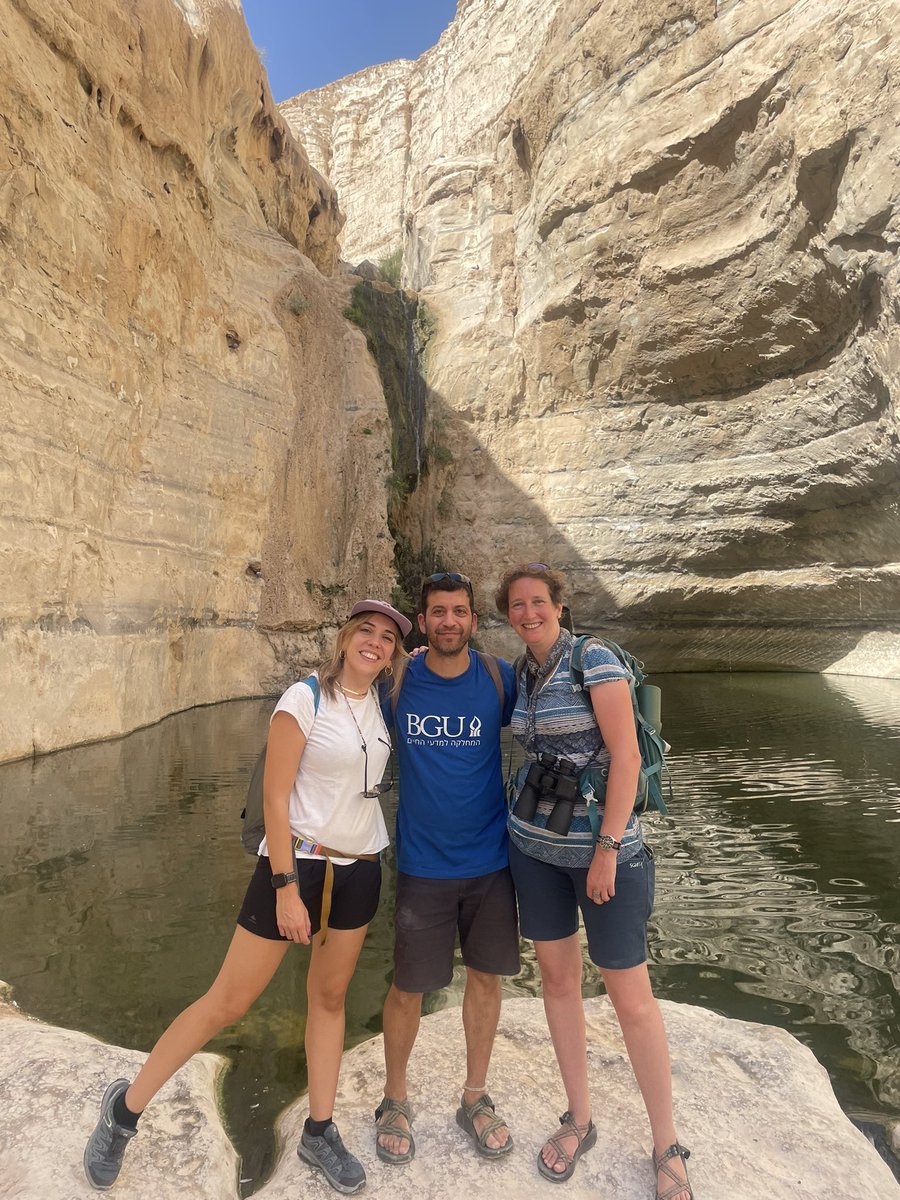 Isa Donoso @isatxu.bsky.social tweet media