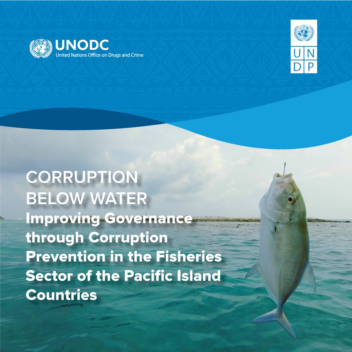 UNDP Pacific Office in Fiji tweet media