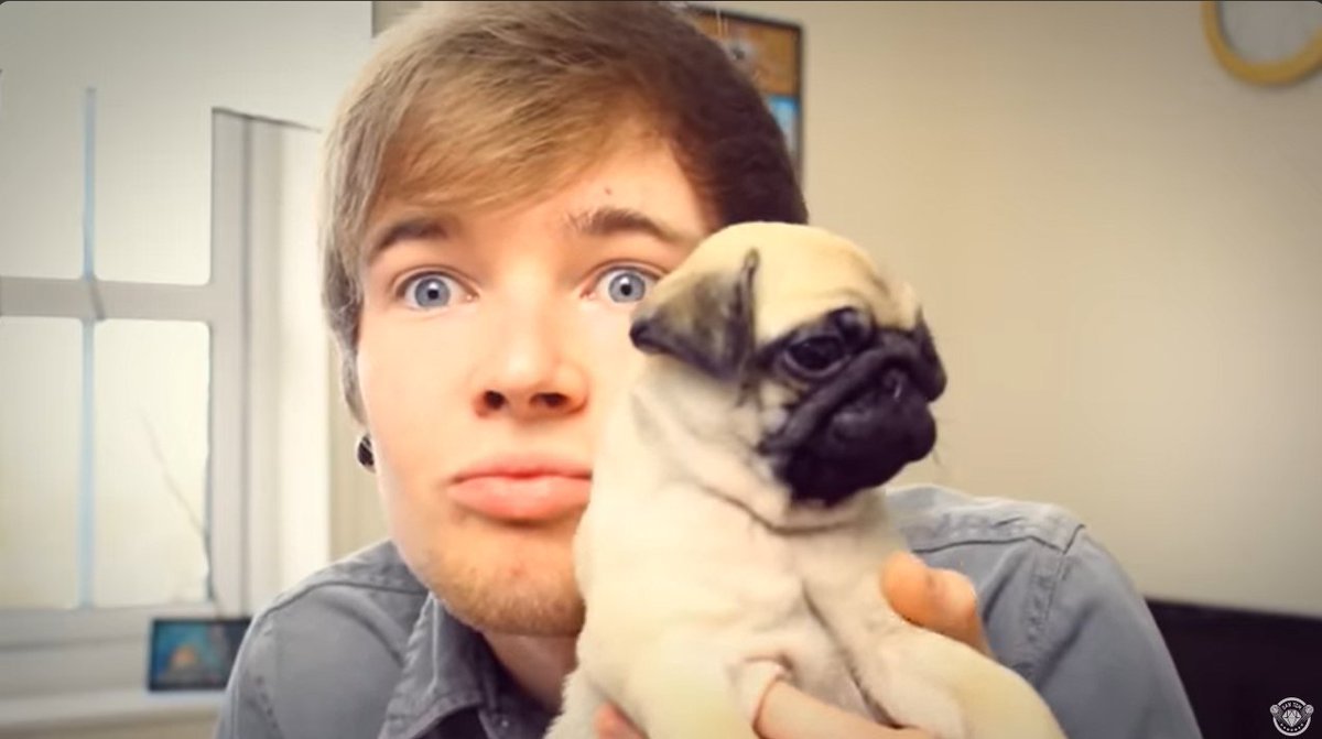 DiamondSwordOff's tweet photo. Can We Get a Moment Of Silence For @dantdm for his loss of Ellie the pug?
Hope Your Ok Dan, i know the pain of losing your best friend since her first vlog appearance on Dec 15, 2013.
hope things goes well for you ❤
#ripellie #pug #danTDM #prayers https://t.co/ddMJQYKURV
