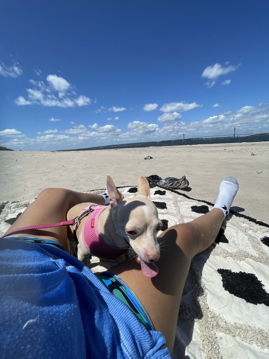 I went to Prospect Park in Brooklyn today and I went to Coney Island a few weeks ago I had a great summer