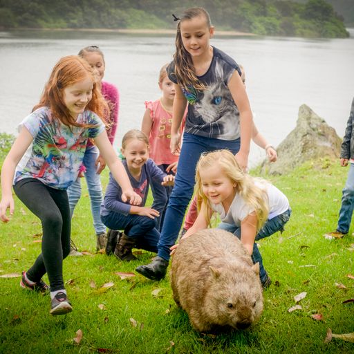 🌟 Take the family out this weekend and enjoy time together this Father's Day. 🦘 Discover a new walking track, visit a zoo or get your hands dirty with arts and craft. 👉 More info at: bit.ly/SCC-LoveLocal23 #loveShoalhaven #Shoalhaven @VisitShoalhaven